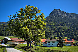 Fischen Rubi (5v9)_t.jpg